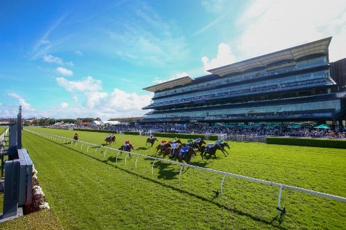 Perouse Randwick by Sydney Lodges image 40